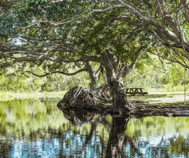 activity_detail_image