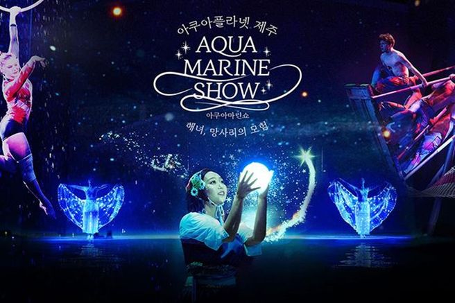 제주 아쿠아플라넷 입장권 & 늦은 오후권