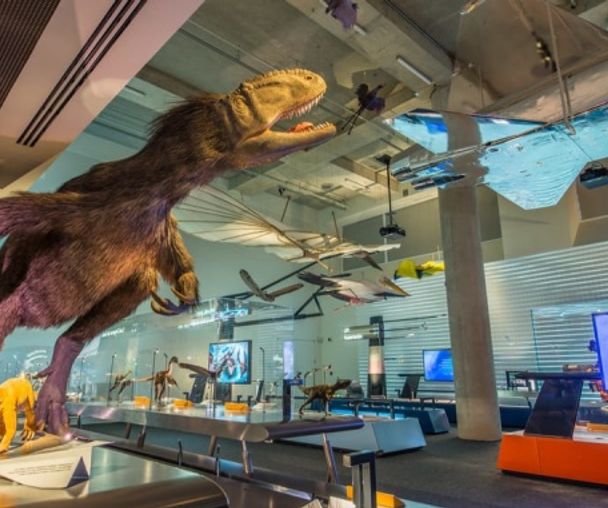 activity_detail_image