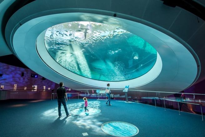 Frost Science Museum & Planetarium Ticket in Miami