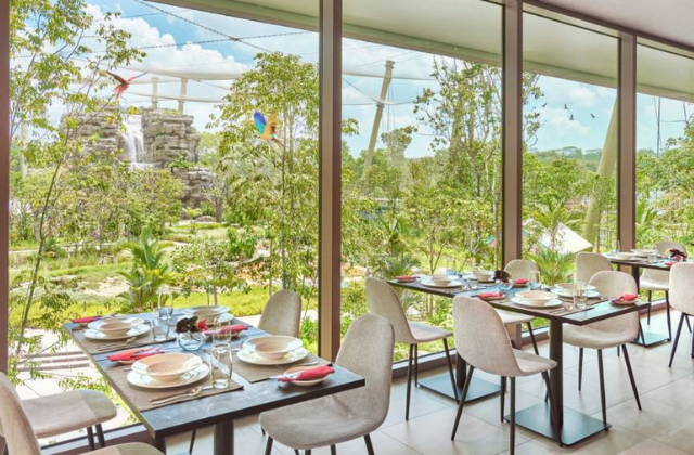 싱가포르 버드 파라다이스 시그니처 다이닝