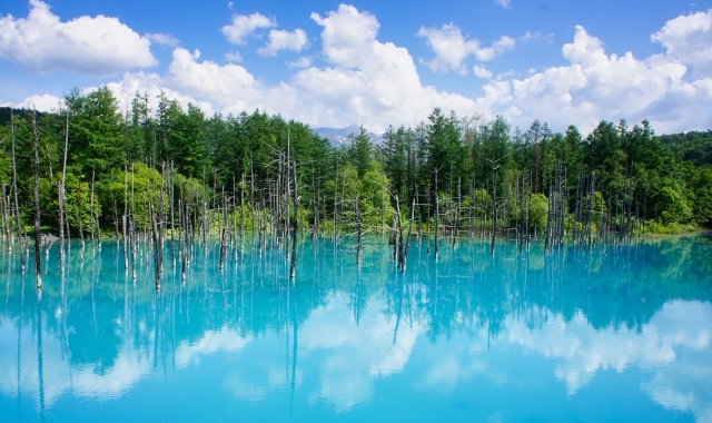 [Special Deal] Hokkaido: Biei Furano Day Tour