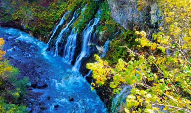 [Special Deal] Hokkaido: Biei Furano Day Tour