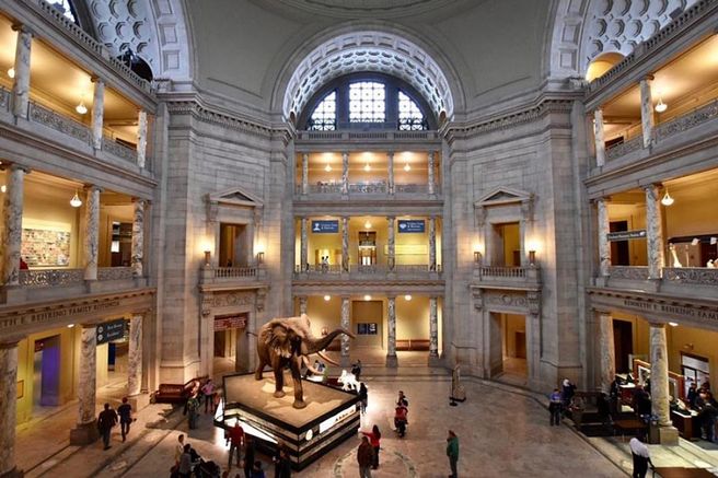 Washington DC Natural History Museum Guided Tour
