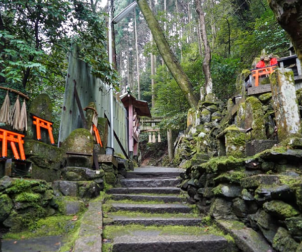 activity_detail_image