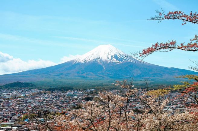 Fuji Day Tour (Oishi Park, Arakurayama Sengen Park, Oshino Hakkai, Mt. Fuji 5th Station)