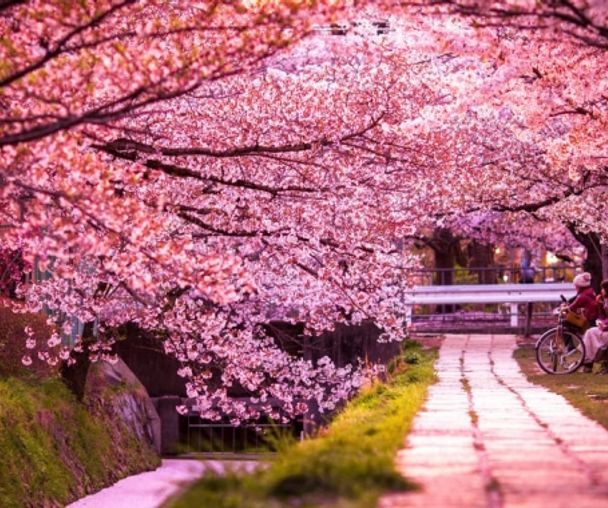 activity_detail_image