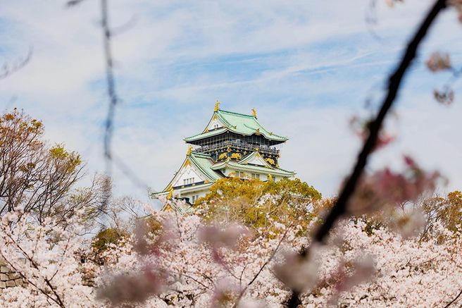 오사카 성 천수각 입장권
