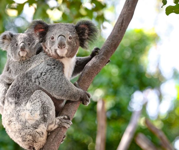 activity_detail_image