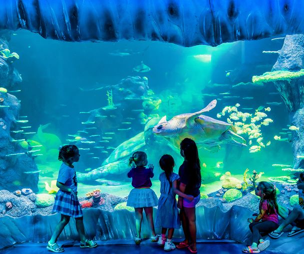 activity_detail_image