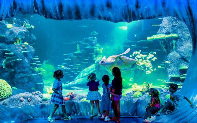 SEA LIFE Sydney Aquarium Ticket