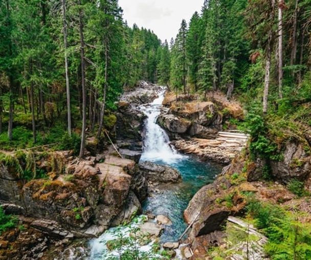 activity_detail_image