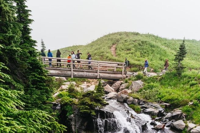 Mount Rainier National Park Tour from Seattle