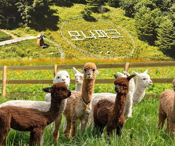 activity_detail_image