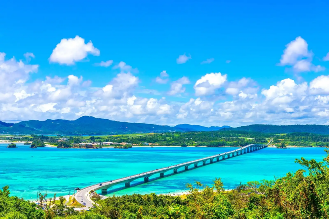 【特別割引】沖縄北部バスツアー(万座毛、古宇利島、美ら海水族館、アメリカンビレッジ)