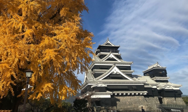 熊本城 公式入場チケット