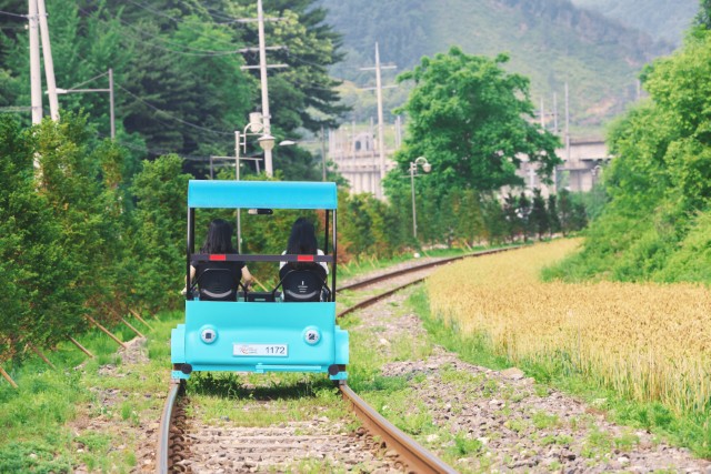 강원 춘천 남이섬 & 강촌 레일바이크 일일 투어 (서울 출발)