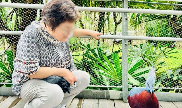 싱가포르 부모님 & 아이 동반 가족 개인 투어 (반일 / 전일)