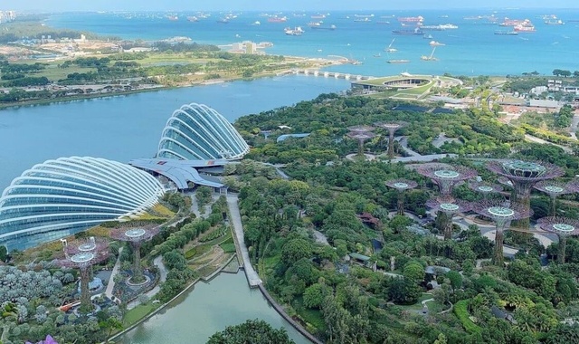 싱가포르 부모님 & 아이 동반 가족 개인 투어 (반일 / 전일)