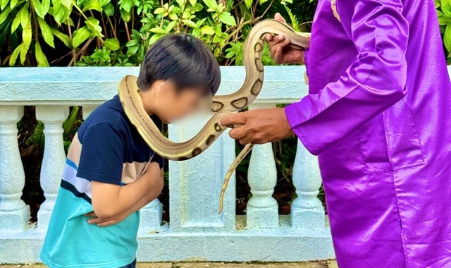 싱가포르 부모님 & 아이 동반 가족 개인 투어 (반일 / 전일)