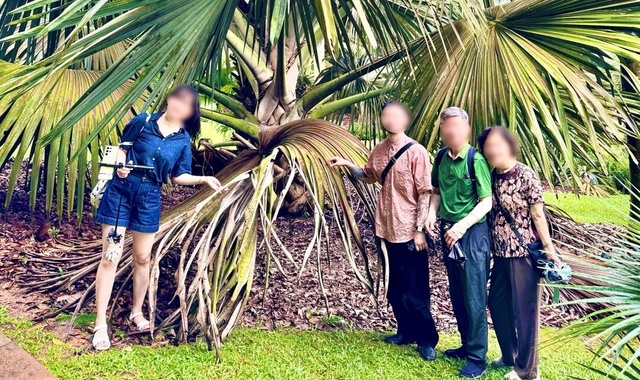 싱가포르 6070 부모님과 효도 여행 소그룹 일일 투어
