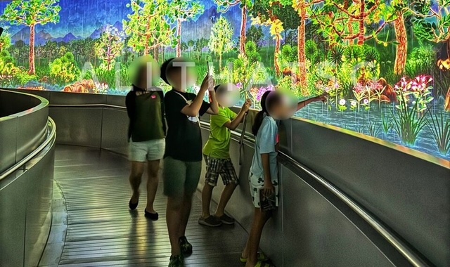 싱가포르 6070 부모님과 효도 여행 소그룹 일일 투어