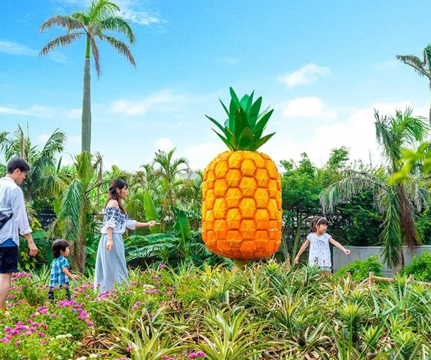 activity_detail_image