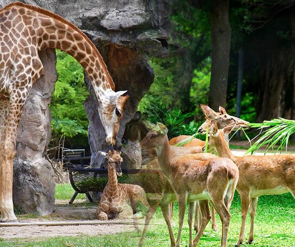 activity_detail_image