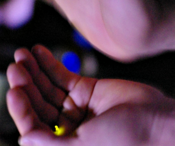 activity_detail_image