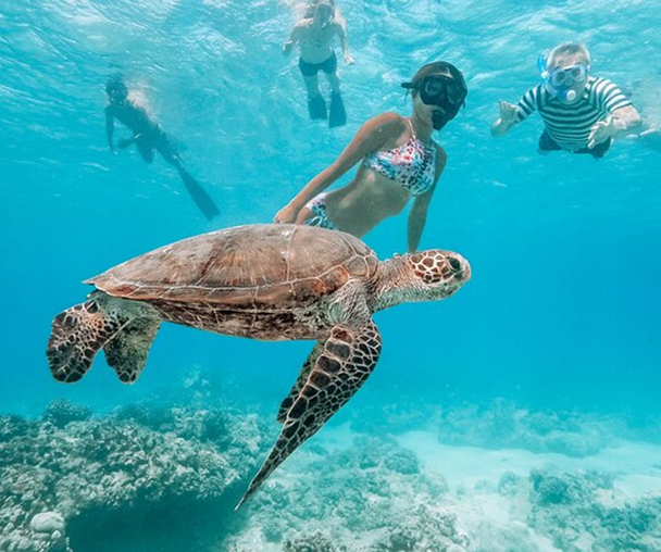 activity_detail_image