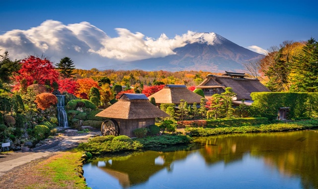 Tokyo Departure Mt. Fuji Spot Day Tour (with Special Offers)