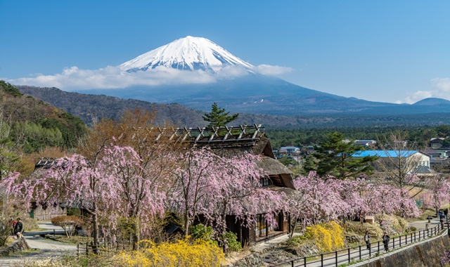 Tokyo Departure Mt. Fuji Spot Day Tour (with Special Offers)