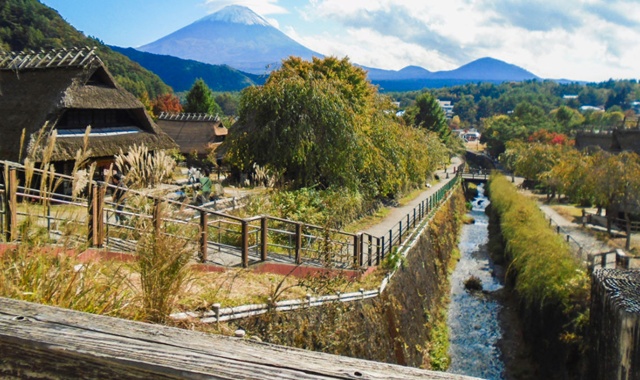 Tokyo Departure Mt. Fuji Spot Day Tour (with Special Offers)