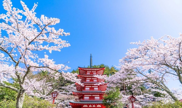 Tokyo Departure Mt. Fuji Spot Day Tour (with Special Offers)