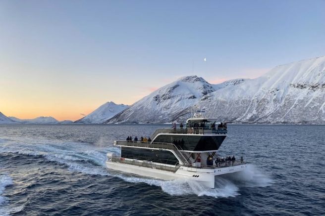 Tromsø Arctic Fjord Cruise