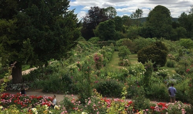 [이지고프랑스] 베르사유 궁전 & 지베르니 모네 정원 & 고흐 마을 투어