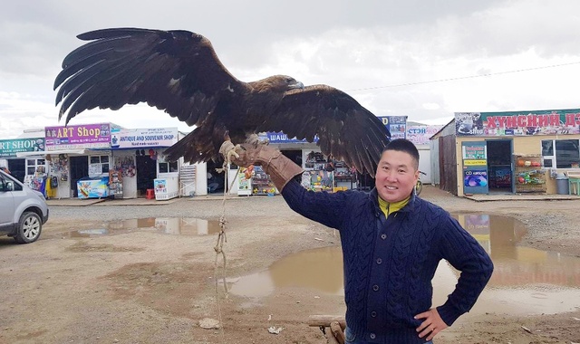 [몽골가자] [3박4일] 몽골 쳉헤르온천 체험 투어 - 미니고비/하르허링/낙타/모래썰매