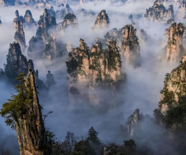 activity_detail_image