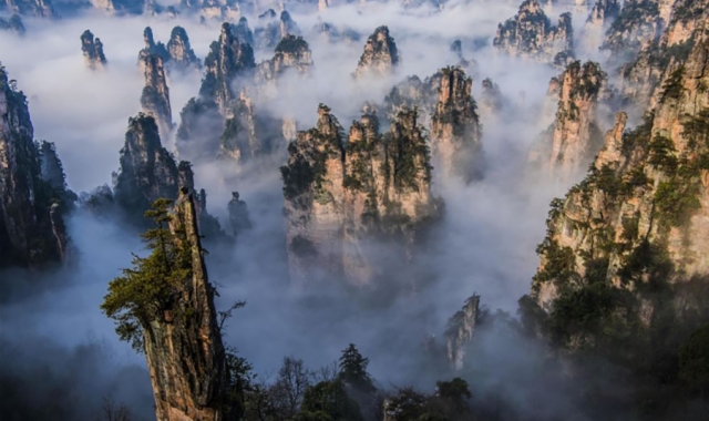 장가계 국립 삼림 공원 VIP 일일 투어