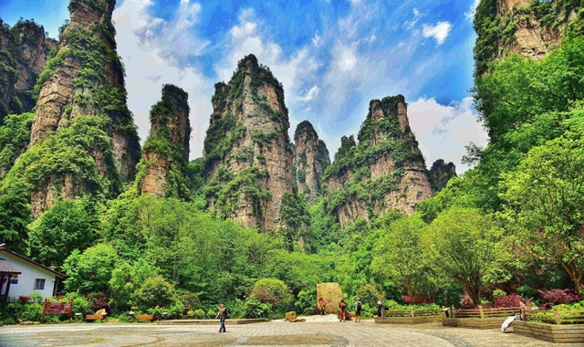 장가계 국립 삼림 공원 VIP 일일 투어