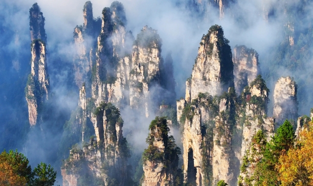 장가계 국립 삼림 공원 VIP 일일 투어