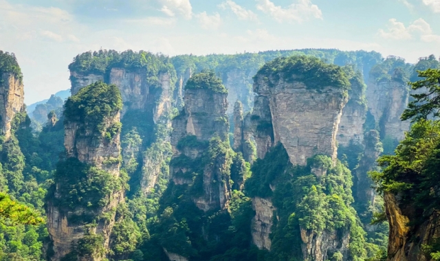 장가계 국립 삼림 공원 VIP 일일 투어