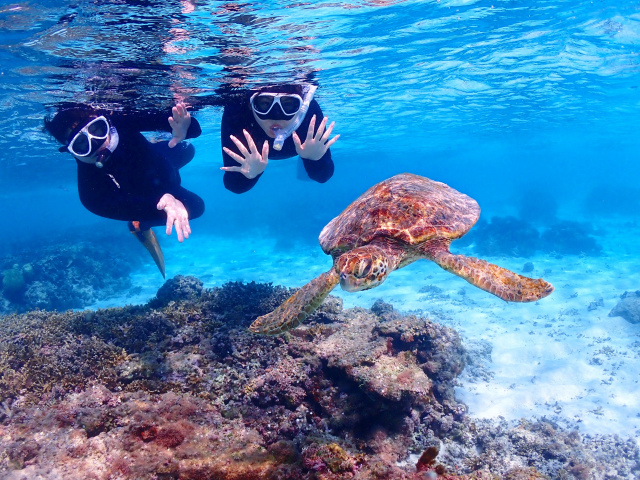 미야코지마 인생 사진 바다 거북이 스노클링 투어