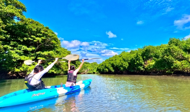 이시가키 천연기념물 맹그로브 숲을 탐험하는 카누 투어