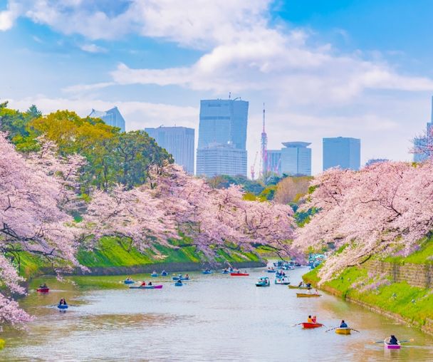 activity_detail_image