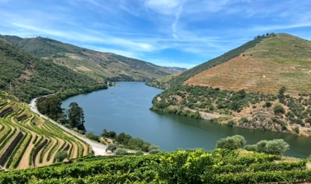 [로투스] 포르투 도우루 밸리 와이너리 투어