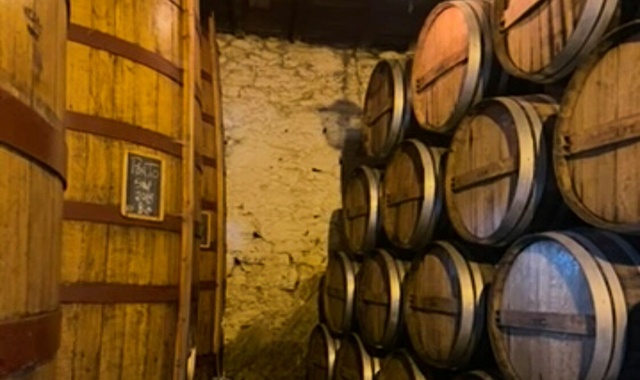 [로투스] 포르투 도우루 밸리 와이너리 투어