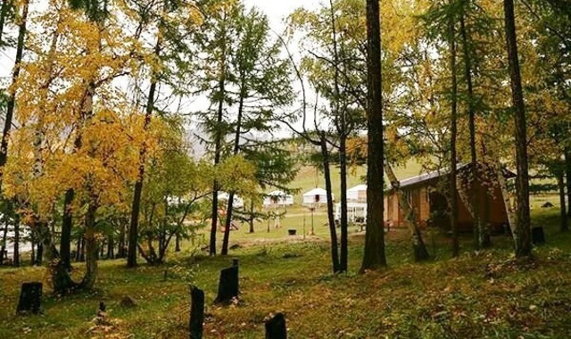 [몽골가자] [6박7일] 몽골 핵심 액티비티! 미니고비/테를지/승마&낙타&모래썰매&은하수 체험