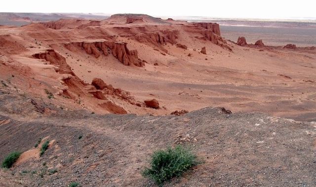 [몽골가자] [6박7일] 몽골 핵심 액티비티! 미니고비/테를지/승마&낙타&모래썰매&은하수 체험