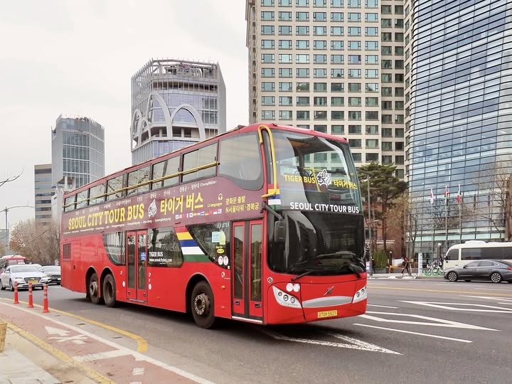 서울 타이거 시티투어 버스 - 도심 고궁, 남산 코스